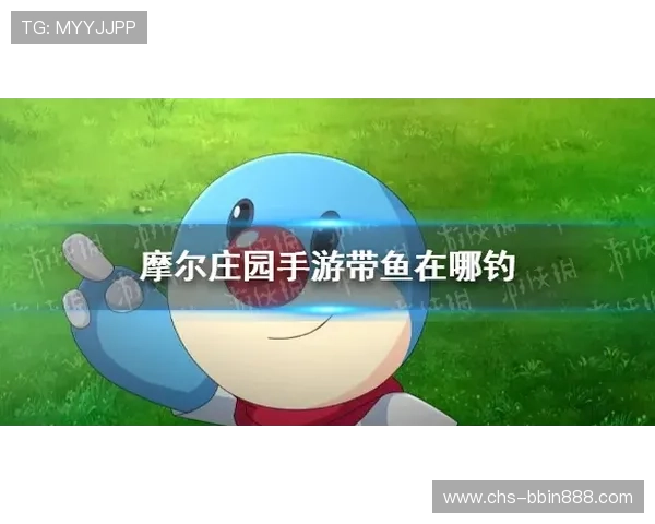 新手必学的牛牛看牌抢庄技巧，快速掌握赢牌的关键策略与技巧方法